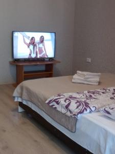 1 dormitorio con 1 cama y TV de pantalla plana en Однокімнатна квартира Olympya біля парку Героїв Майдану, en Lutsk