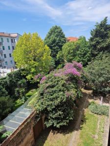 Zahrada ubytování Palazzo Rosselmini