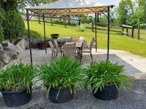 Vonkajšia záhrada v ubytovaní Apartment Sonnenblume by Interhome