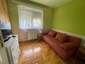 a living room with a couch and a window at Rózsa Lak Retro in Hajdúszoboszló