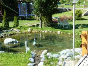 un canard dans un étang dans un parc dans l'établissement Apartment Rubin by Interhome, à Saas-Almagell