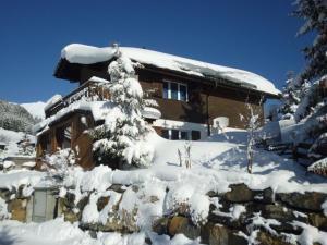 a snow covered house with a snow covered tree at Apartment Casa Hofer by Interhome in Valbella