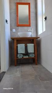a bathroom with a sink and a mirror at B&B Het Oude Doktershuys in Minnertsga