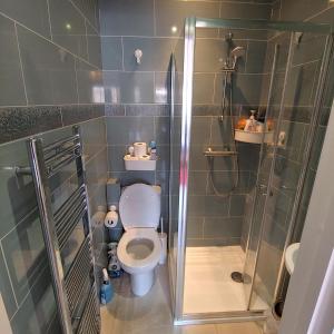 a small bathroom with a toilet and a shower at EnSuite Room with private shower, walking distance to Harry Potter Studios in Leavesden Green
