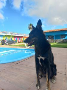 un perro negro sentado junto a una piscina en Pousada Vila Vovo Zilda, en Maragogi