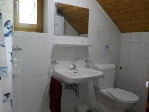 Vannituba majutusasutuses Chalet Sosto by Interhome