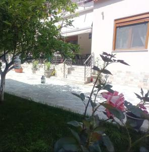 a dog sitting in a yard next to a house at Ethra luxury studios in Asprovalta