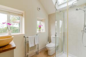 a bathroom with a shower and a toilet and a sink at Bill's Cottage in Northleach
