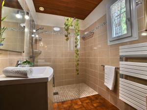 La salle de bains est pourvue d'un lavabo et d'une douche. dans l'établissement Holiday Home Le Rocher Vert by Interhome, à Chaucre