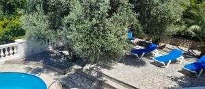 an overhead view of a pool with blue chairs and trees at Villa Dedin in Utjeha