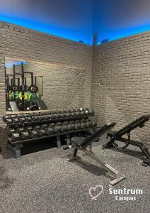 einen Fitnessraum mit 2 Bänken und einer Wand mit Gewichten in der Unterkunft Bakkalandet Hotel in Kolvereid