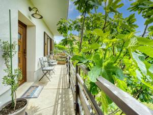 a balcony of a house with plants at Apartment Ani by Interhome in Kastav