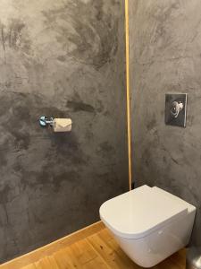 baño con aseo y dispensador de papel higiénico en Le Volcan des Sens, chambres d'hotes de luxe et SPA, en Torsiac