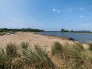 a beach with tall grass next to a body of water at Holiday Home Haus Anni by Interhome in Wolphaartsdijk