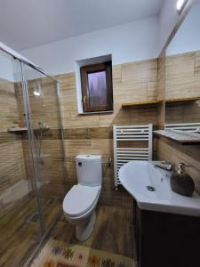 un bagno con un water e un lavandino di Casa Cornelia a Borsa