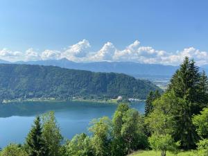 uma vista para um lago com montanhas ao fundo em Bauernhof Landhaus Hofer em Annenheim