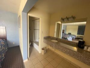 a hotel bathroom with a sink and a mirror at Village Inn in Ada