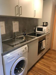 a kitchen with a sink and a washing machine at Pension Grüner Baum 