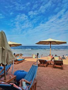 Ghazala Hotel Dahab في دهب: شاطئ فيه كراسي ومظلات والناس على الشاطئ