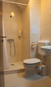 a bathroom with a toilet and a shower and a sink at Hotel Pallone in Balatonfüred