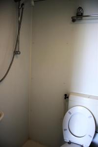 een badkamer met een wit toilet in een kamer bij Tiny Cottage 2 in Drijber