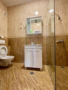 uma casa de banho com um WC, um lavatório e um chuveiro em Apartment Jovana em Herceg Novi