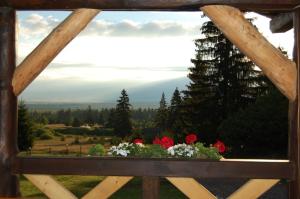 a window with flowers on a wooden fence at Cabana Niki-Rum Haz in Bucsin