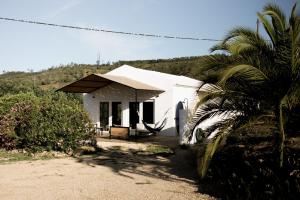 a white house with a palm tree in front of it at Casa Mini & Casa Mia in Aljezur