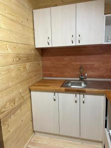 una cocina con armarios blancos y fregadero en Milica 2 en Crni Vrh