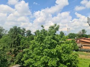 un grupo de árboles en un campo con cielo en Apartman Anastasija en Banja Luka