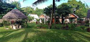 a view of a yard with a house and trees at cathy patrick (catpat) in Foulpointe