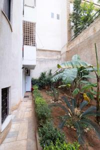 Zahrada ubytování AIOLOS LUXURY alimos quiet apartment 1