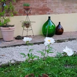 a garden with three vases and white flowers at B&B Marana 14 Casa di Campagna in Bologna