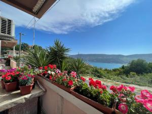 a balcony with flowers and a view of the water at Apartment Jovana in Herceg-Novi