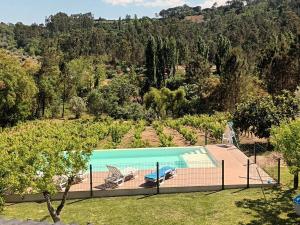 an image of a swimming pool in a garden at Casa da Costureira in Olival