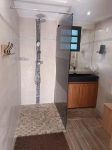 a bathroom with a shower and a sink at Vil'Ariane in Sainte-Marie