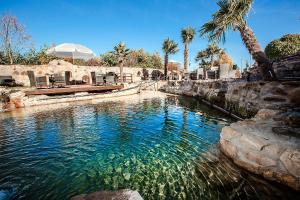 a large pool of water with palm trees andisks at Erholungspark Wehlingsheide in Datteln