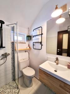 a bathroom with a toilet and a sink and a mirror at Casa Eladi in Eforie Sud +33 photos