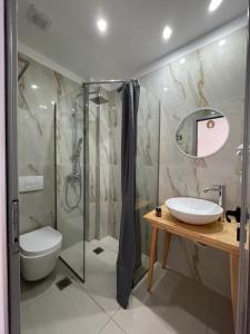 a bathroom with a shower and a sink and a toilet at Orchard Retreat in Himare