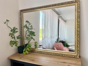 Foto sihtkohas Kolín asuva majutusasutuse Monstera I galeriist