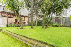 a yard with trees in front of a house at TRAVELER'S HOUSE QUITO in Quito