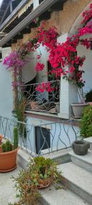 um ramo de flores cor-de-rosa na lateral de um edifício em Villa Alberto em Olbia