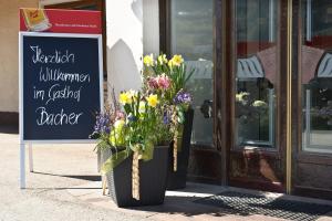 two vases filled with flowers sitting in front of a store at Gasthaus Bacher in Sankt Johann im Pongau