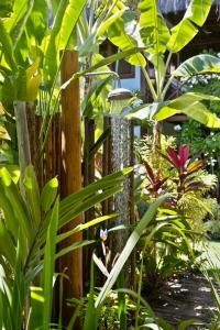 a garden with many plants and a wooden fence at Aldeia dos Corais - Taipu de Fora in Barra Grande