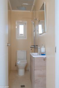 a bathroom with a toilet and a sink and a mirror at AV Amsterdam Casa Flotante in Gijón