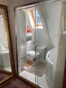 a bathroom with a toilet and a glass shower at Petite city center loft on Amstel river in Amsterdam