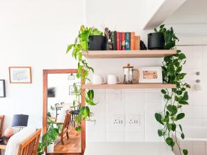una habitación con estanterías y plantas en la pared en 13 Middelhof, en Ciudad del Cabo