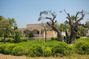a tree in a yard with a building in the background at B&B Tenuta Martinelli in Monopoli