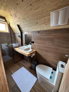 a bathroom with a toilet and a sink at Chalés entre Nuvens in Campos do Jordão