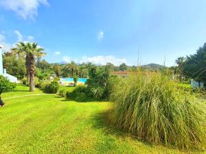 a yard with tall grass and palm trees and a pool at BELLA'S HOUSE in Danilia
